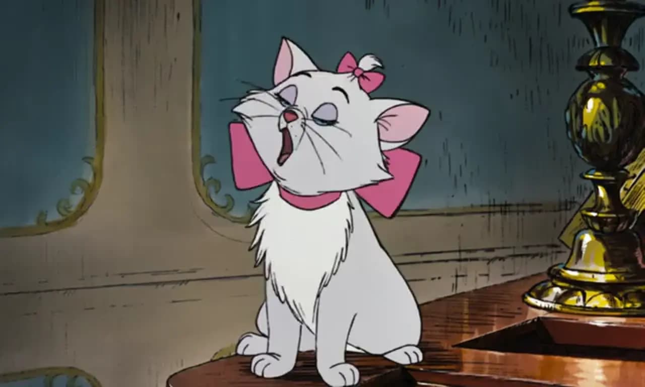 Коты-аристократы