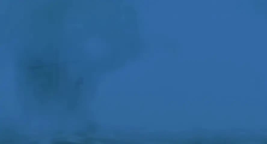 Астерикс и викинги