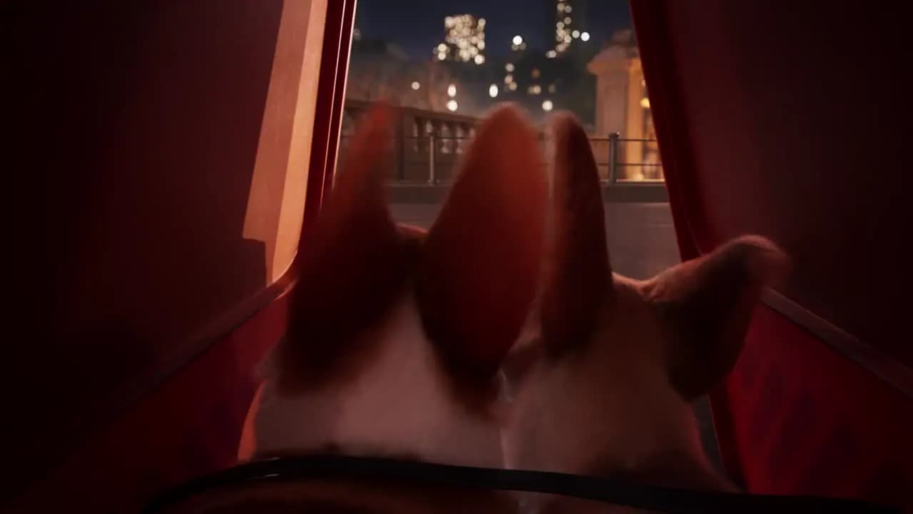 Королевский корги