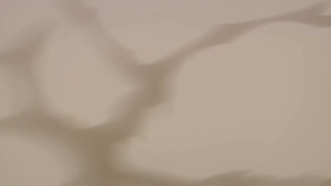 Ясукэ