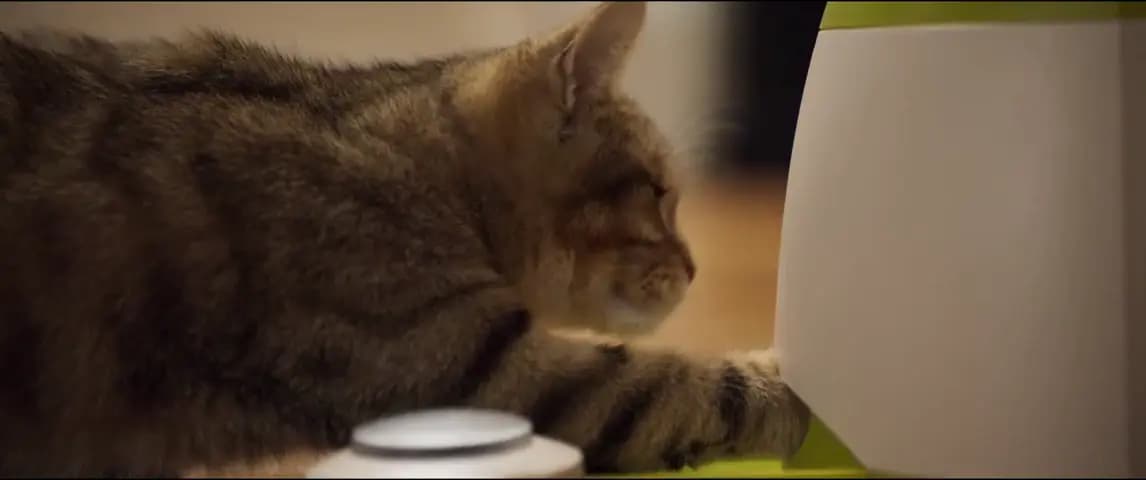 Мононокэ: Зонтик
