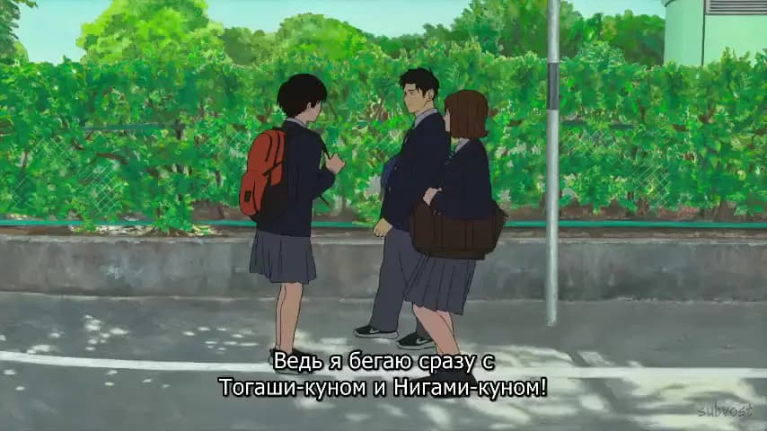 Стометровка