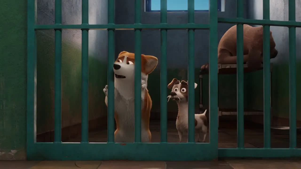 Королевский корги